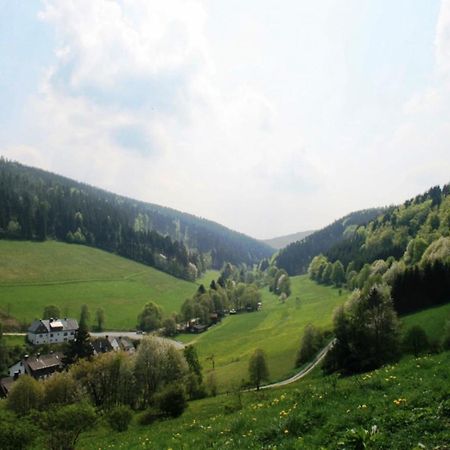 Large Holiday Home In Willingen With Private Garden And Several Terraces Екстер'єр фото