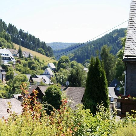 Large Holiday Home In Willingen With Private Garden And Several Terraces Екстер'єр фото