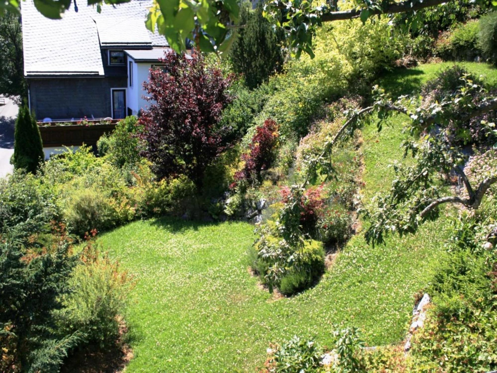Large Holiday Home In Willingen With Private Garden And Several Terraces Екстер'єр фото