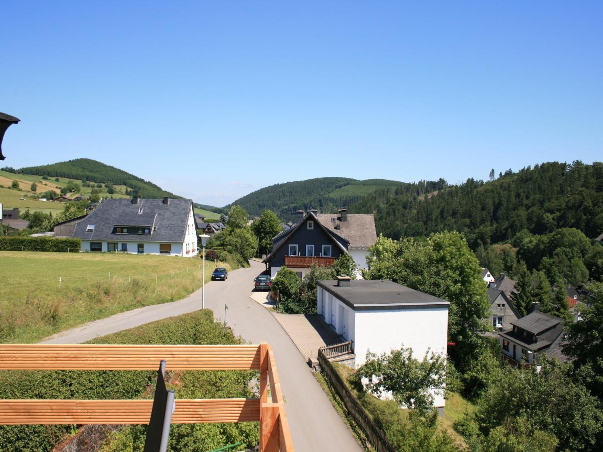 Large Holiday Home In Willingen With Private Garden And Several Terraces Екстер'єр фото