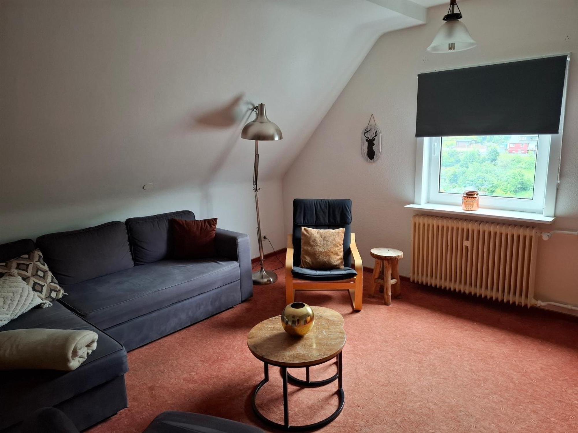 Large Holiday Home In Willingen With Private Garden And Several Terraces Екстер'єр фото